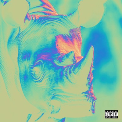 Rinoceronte - Single
