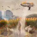 Letter From The Trenches