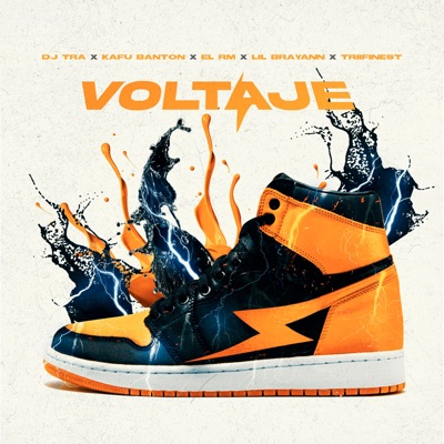 Voltaje (feat. Lil Brayann & TRIIFINEST) - Single