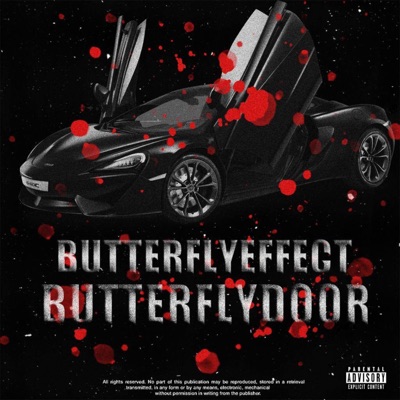 BUTTERFLYDOOR - Single