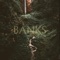 Banks - Josette lyrics