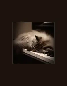 Piano Dormir을(를) 듣고, 뮤직 비디오를 보고, 약력을 읽고, 투어 일정 등을 확인하세요!
