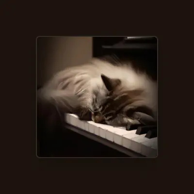 Listen to Piano Dormir, watch music videos, read bio, see tour dates & more!