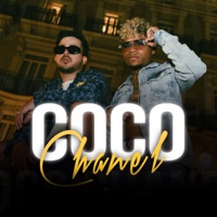 Coco Chanel (feat. Louwis) - Single - Hamil