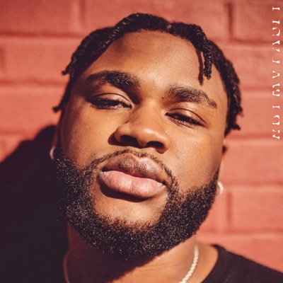 Not My Fault - Single