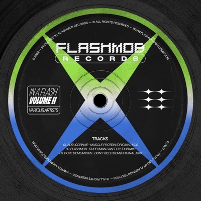 In a Flash, Vol. 11 - Single