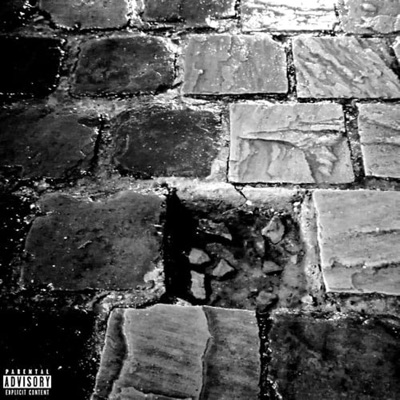 Le feu (feat. Crapulax, Lanceflow & Carlsberg Slim) - Single