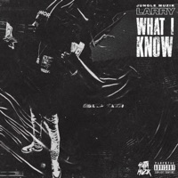 What I Know - Single - Jungle Muzik Larry