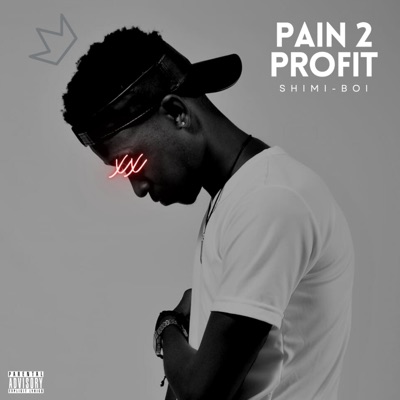 Pain 2 Profit