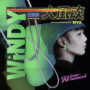 大风吹 - Single