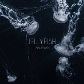 Jellyfish Naliffko