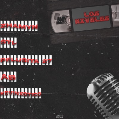 Los Niveles (feat. Pelusita 27, Kevinxotico, AB & STL) - Single
