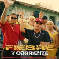 FIEBRE Y CORRIENTE (feat. Jgos, Big JC Baby & Fenix Trip) - Single - Ruta Sway