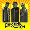 Stream & download Zumo Piña Melocotón - Single