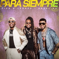 Album cover for PARA SIEMPRE by Zion & Lennox & Anuel AA