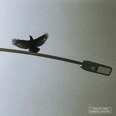 Wings (Roost) - Single
