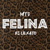 Mtg Felina (Remix) - Single