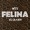 felina remix