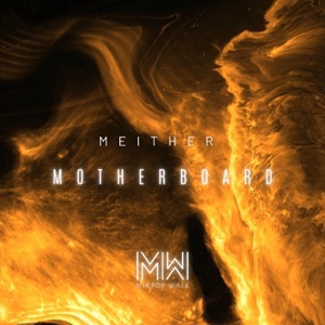 Motherboard - Single