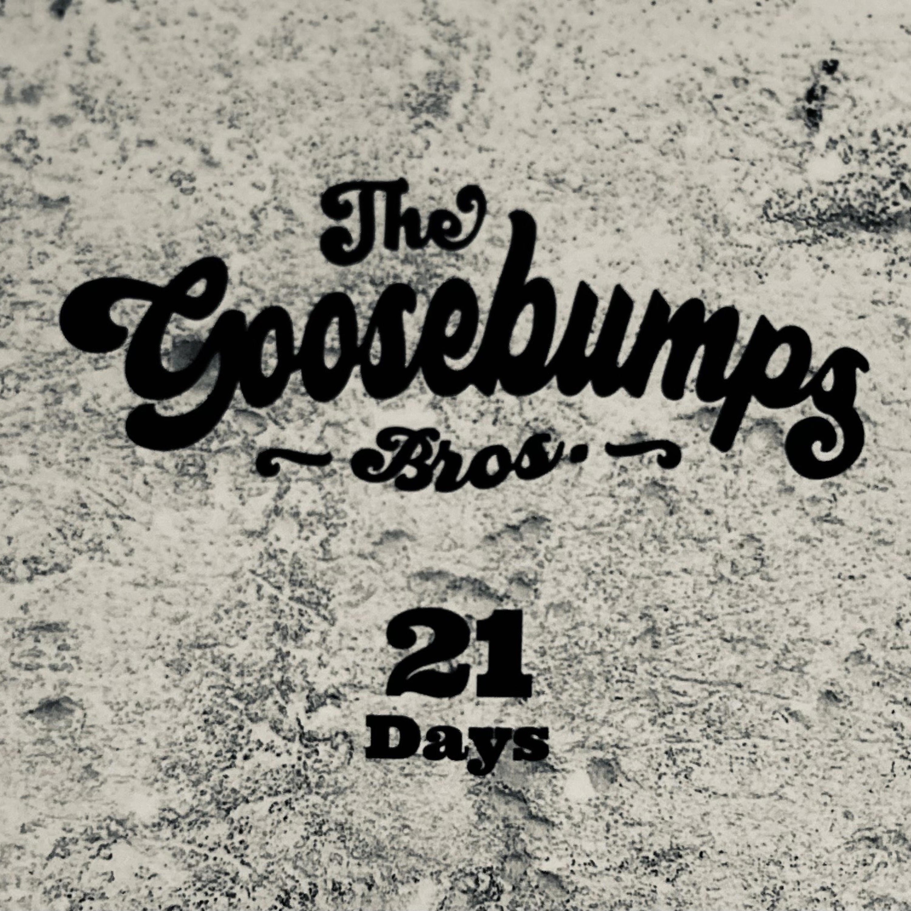 The Goosebumps Bros. - 100 Miles