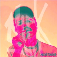 MEINE TUNDRA - Nick Shit