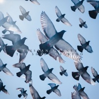 The Shape of Wind - Tristan Garner