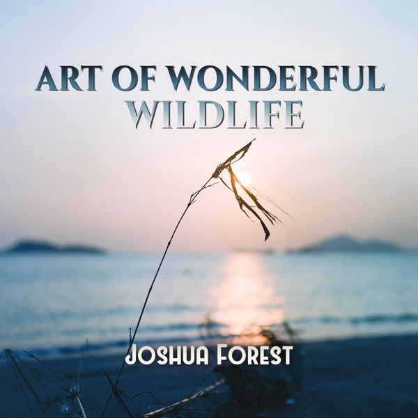 Art of Wonderful Wildlife
