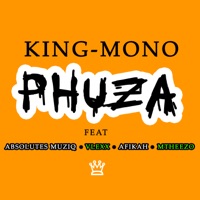 Phuza (feat. Afikah, Mtheezo, Absolutes Muziq & Vlexx) - Single - King-Mono