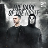 The Dark of the Night artwork