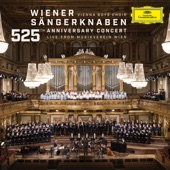 Kaiserwalzer, Op. 437 (Arr. Wirth) [Live] artwork