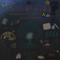 Cronología del Tiempo (feat. Melvin) - Single - Brian NC