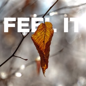 Feel It