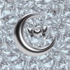 Liouba Moonrise Moonrise - Single
