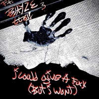 I COULD GIVE a F**K (but i won't) - Single - ChristFux