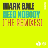 Need Nobody (Hypelezz Remix) artwork