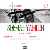 Shemal Yameen artwork