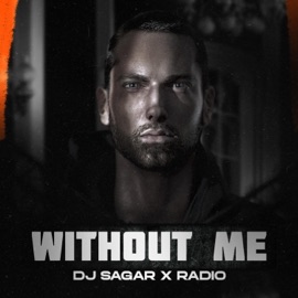 Without Me (feat. Radio) DJ Sagar
