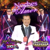 Noches de Amor - Single - Digital Charanga & Jorge Dominguez y Su Grupo Super Class