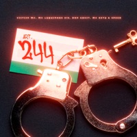 Art. 244 (feat. DJ Speed & DonGavitt) - Single - VIITIIN MC, MC Kety & MC Lukinhas 015