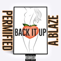 Back It Up (feat. A.Blaze) - Single - Permified