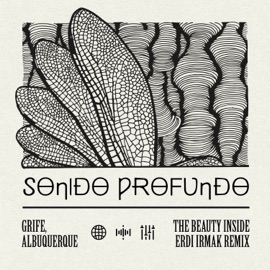 The Beauty Inside (Erdi Irmak Remix) Albuquerque & GRIFE