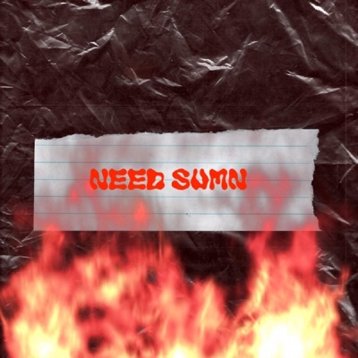 Need Sumn - Single