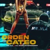 Orden de Cateo - Single