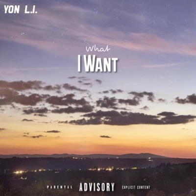 What i Want - Single
