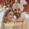 Flute version Satranga (feat. vg production) - Single