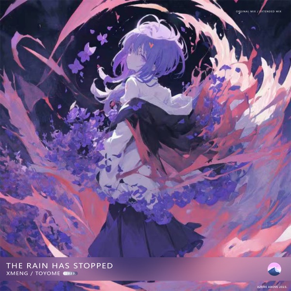The Rain Has Stopped - Single