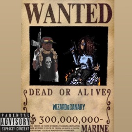 PARANOIA (feat. Pepe & Canary) DaveTheWizard