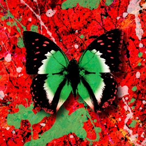 2step (feat. Ultimo) - Single