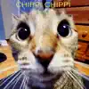 Chippi Chippi