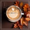 Sunny Morning - Art Intelligence lyrics